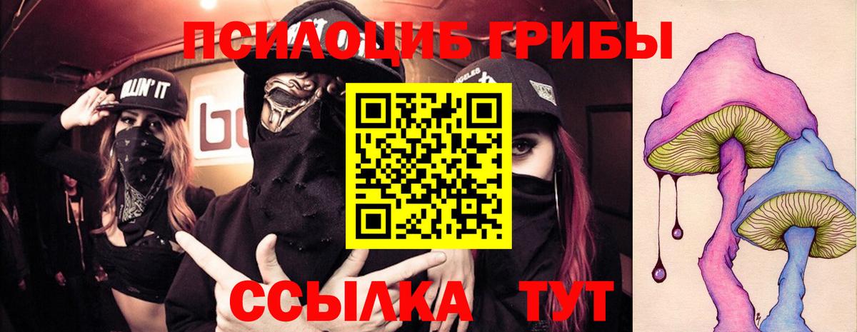 Псилоцибиновые грибы Psilocybe Пушкино